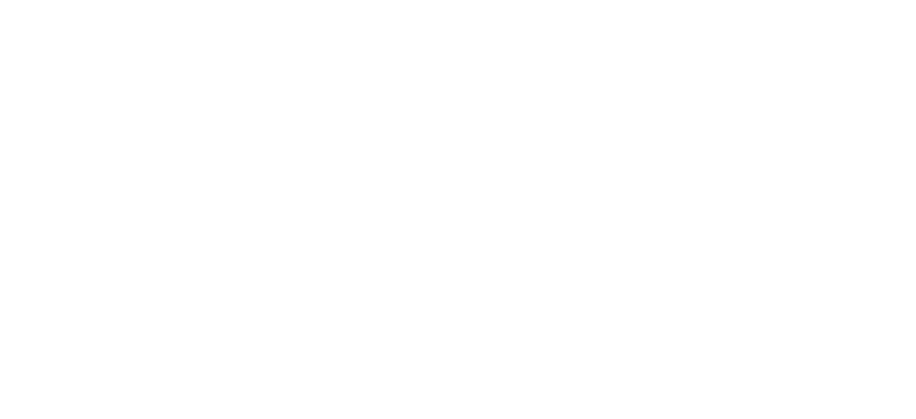 privilegeInternational